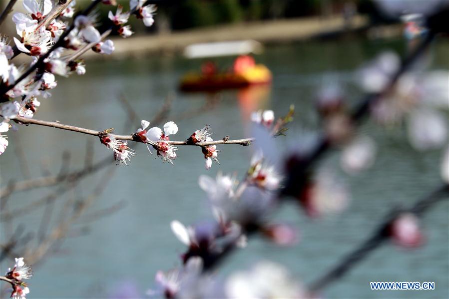 # CHINA-SPRING-SCENERY (CN)