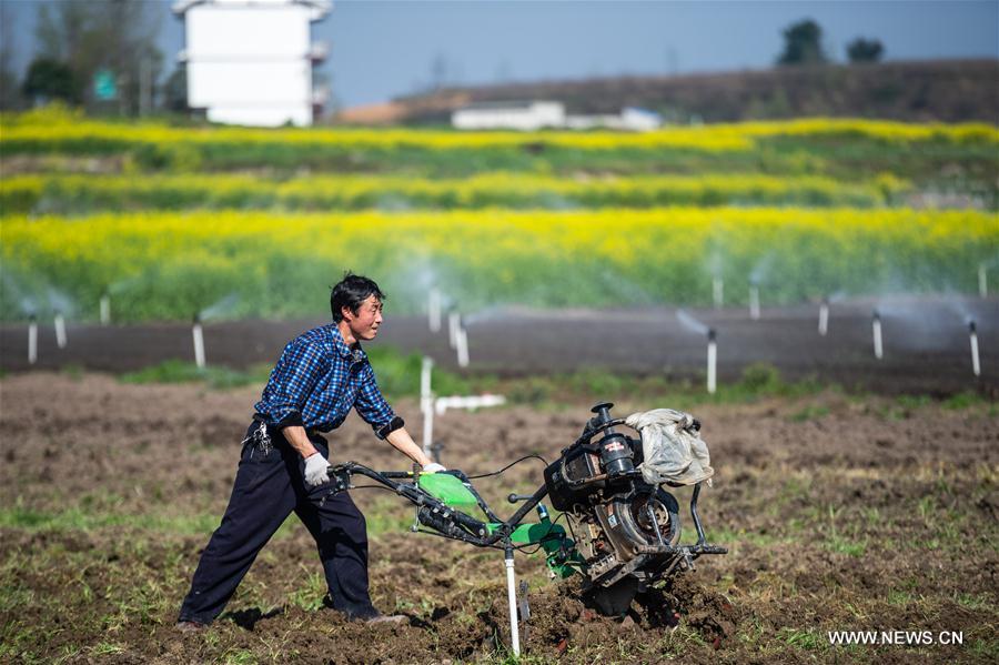 CHINA-CHUNFEN-FARM WORK(CN)