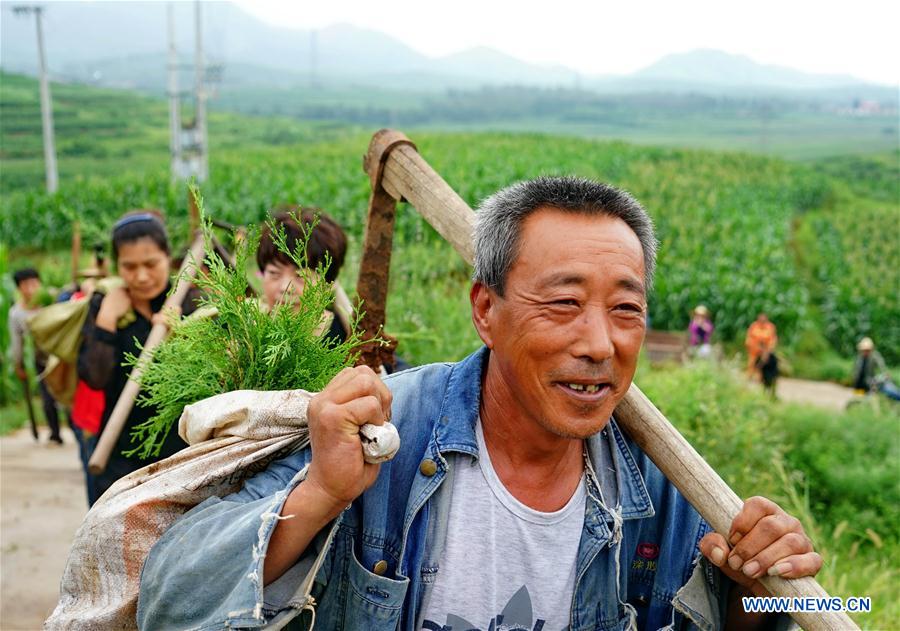 CHINA-REFORESTATION EFFORTS-WORLD LEADING (CN)