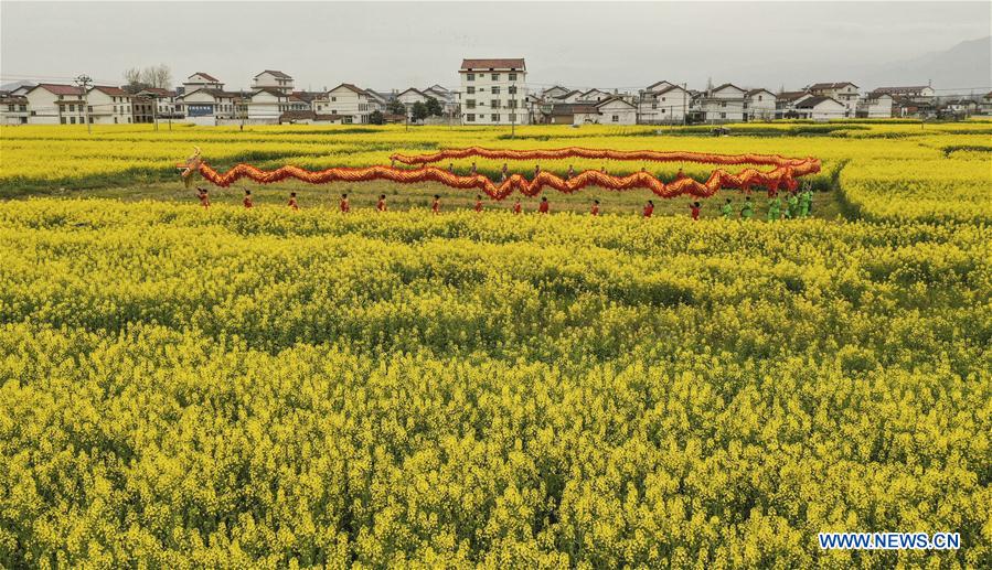 CHINA-SHAANXI-SPRING-COLE FLOWERS (CN)