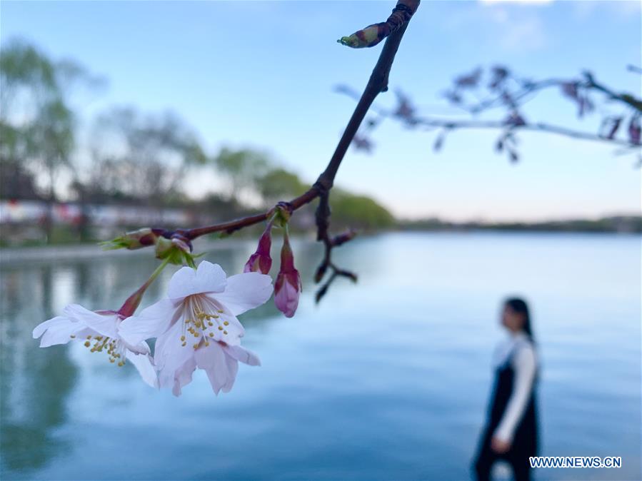 (BeijingCandid) CHINA-BEIJING-SPRING (CN)