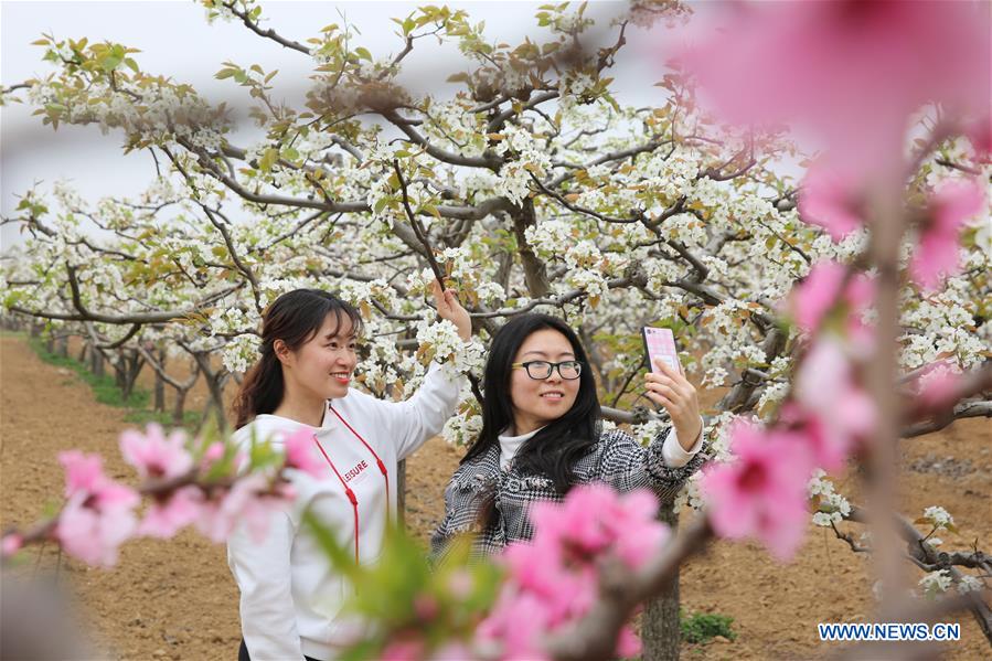 #CHINA-SPRING-FLOWERS(CN)