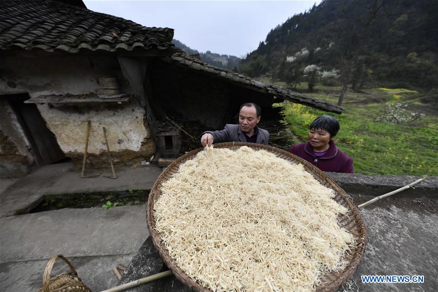 CHINA-CHONGQING-MAN OF DUAL ROLE (CN)