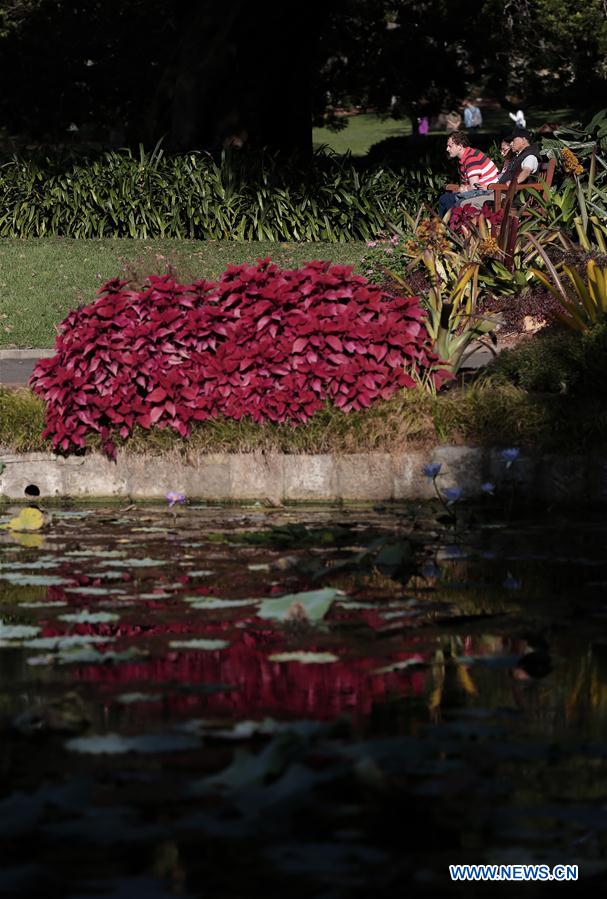 AUSTRALIA-SYDNEY-ROYAL BOTANIC GARDEN