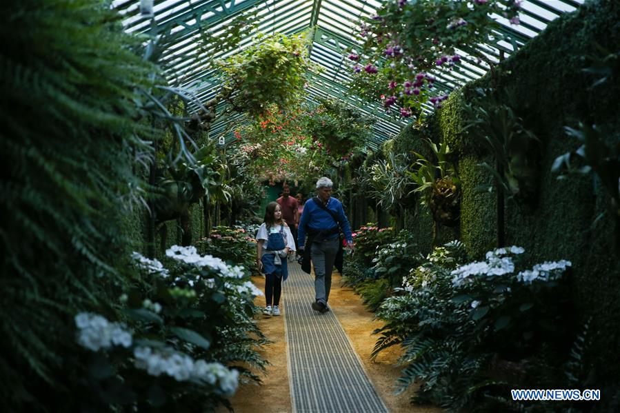 BELGIUM-BRUSSELS-ROYAL GREENHOUSES