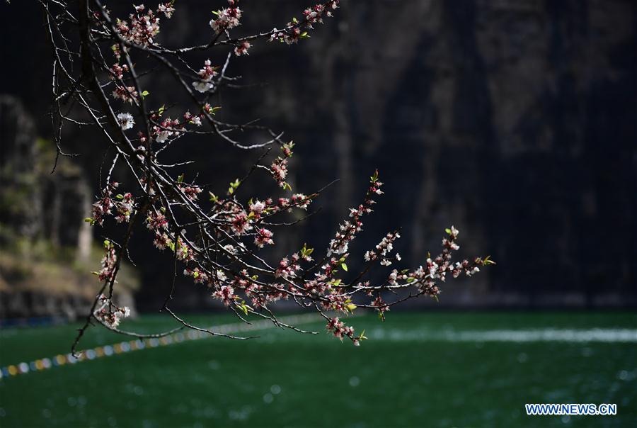 (EcoChina)CHINA-BEIJING-HORTICULTURAL EXPO (CN)