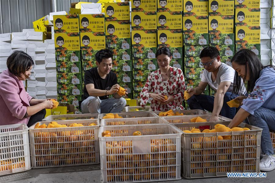 #CHINA-HUBEI-YICHANG-FRUIT-PLANTING (CN)