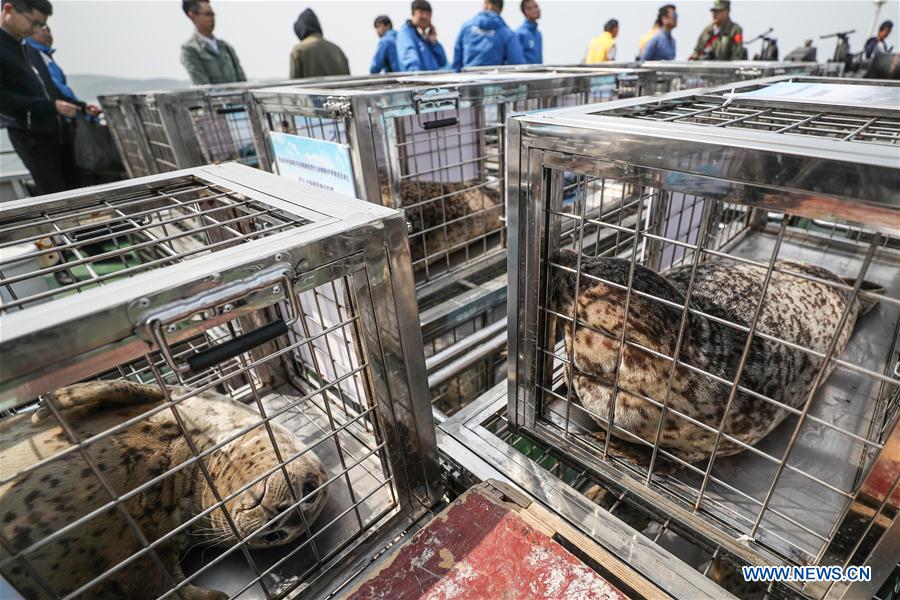 CHINA-LIAONING-DALIAN-RARE SEALS-RELEASE (CN)