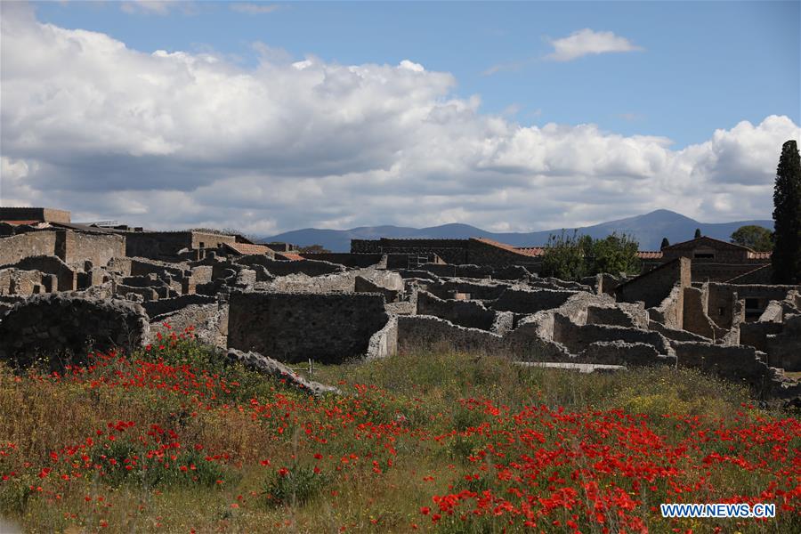 ITALY-CULTURE-ARCHAEOLOGY-POMPEII