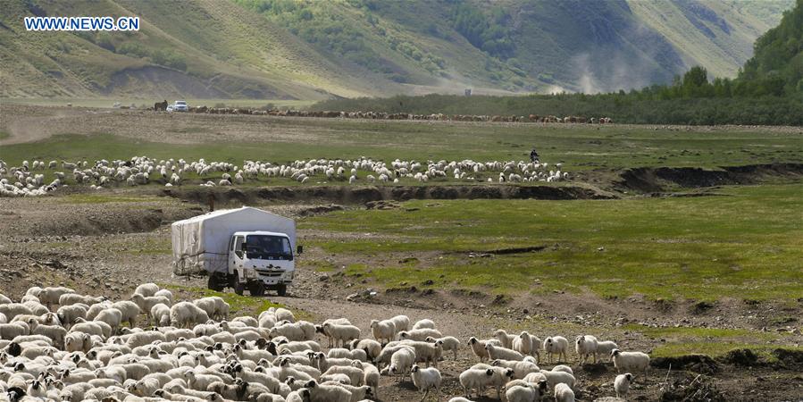 CHINA-INNER MONGOLIA-HERDSMEN-MIGRATION (CN)