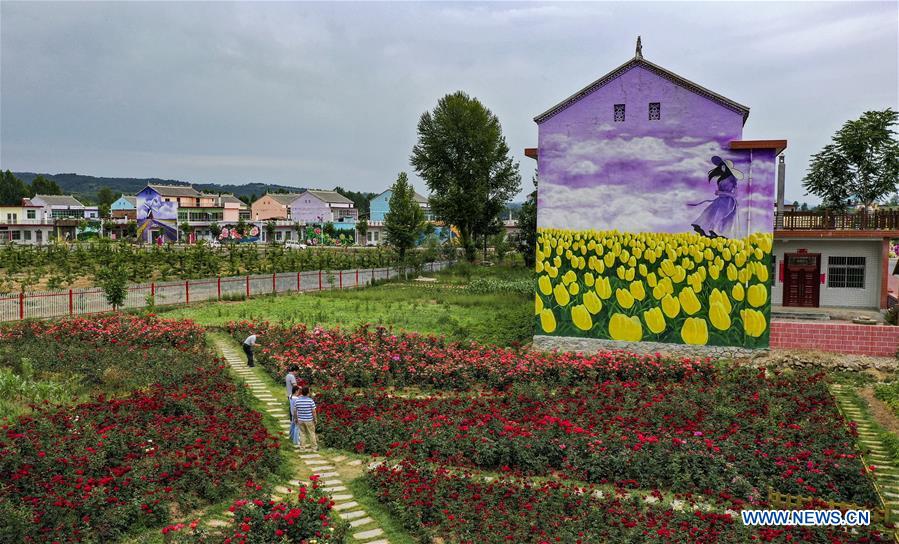 CHINA-SHAANXI-LUONAN-ROSE GARDEN (CN)