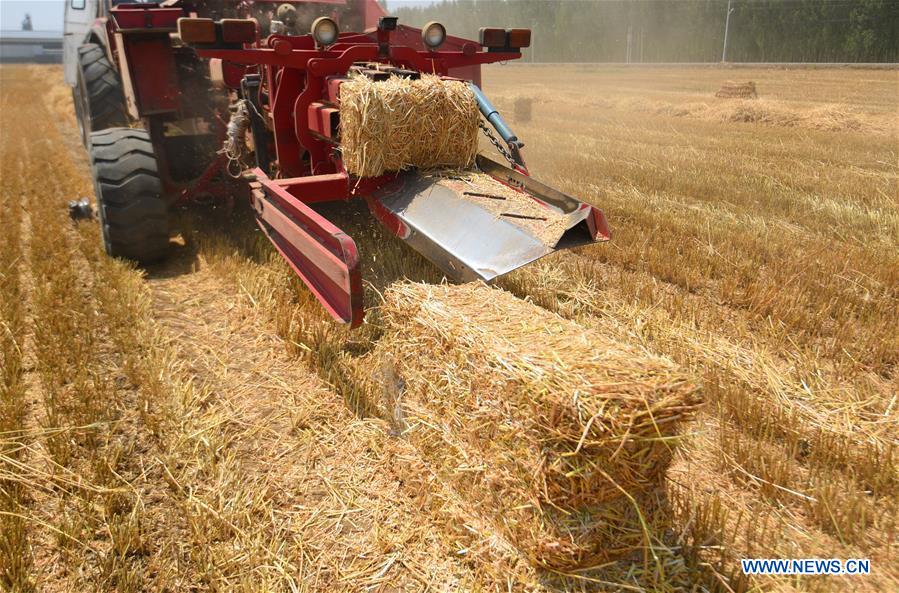 #CHINA-WHEAT STRAW-RECYCLING (CN)