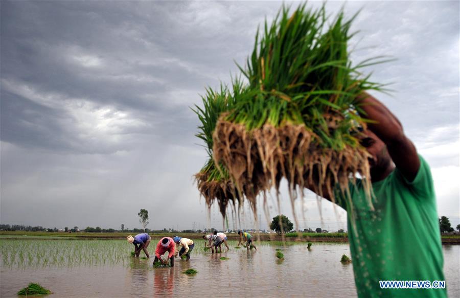 XINHUA PHOTOS OF THE DAY