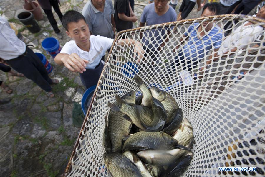 # CHINA-GUIZHOU-BIJIE-AGRICULTURE(CN)