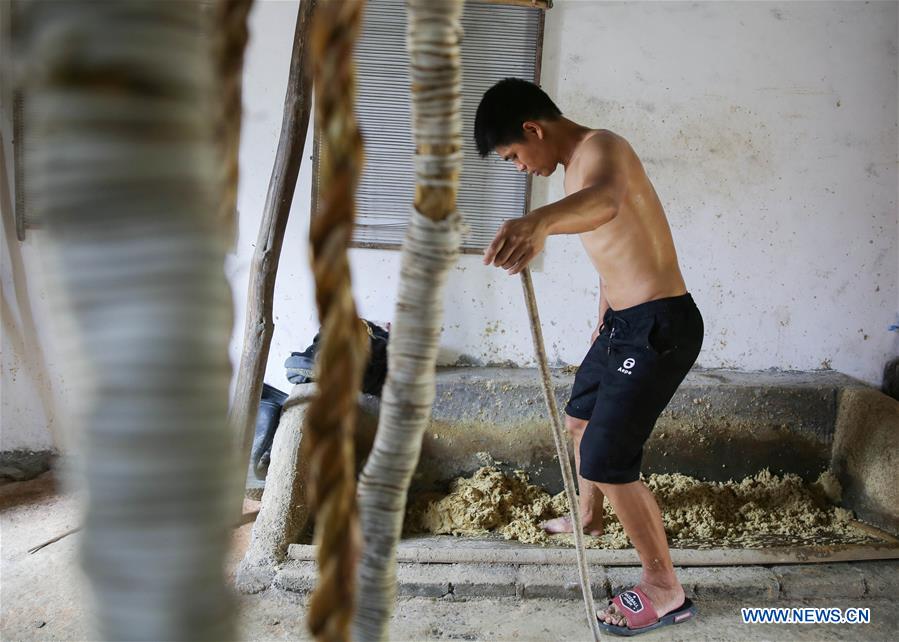 #CHINA-HUNAN-TANTOU-PAPERMAKING (CN)