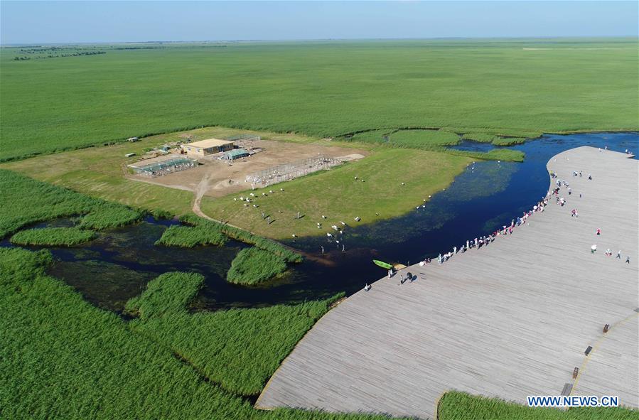 CHINA-HEILONGJIANG-WETLAND PROTECTION (CN)