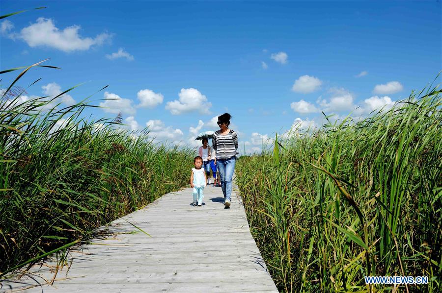 CHINA-HEILONGJIANG-WETLAND PROTECTION (CN)