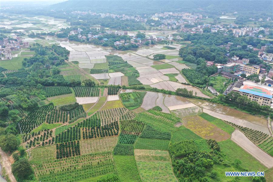 CHINA-GUANGXI-FARMLAND SCENERY (CN)