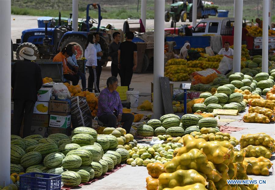 CHINA-NINGXIA-HANJIAOSHUI-AGRICULTURE(CN)