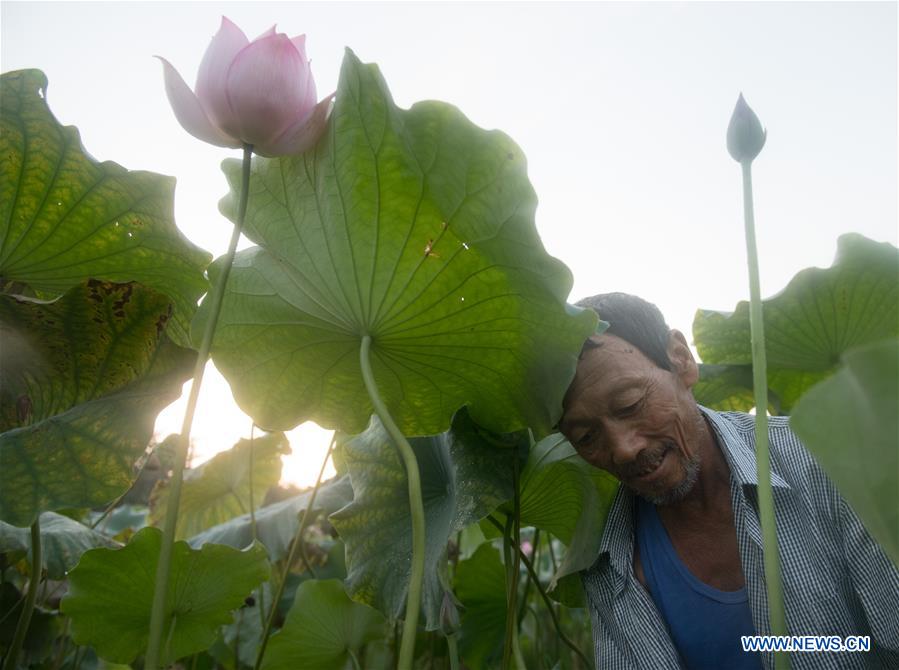 CHINA-ZHEJIANG-JIANDE-LOTUS-ECONOMY (CN)