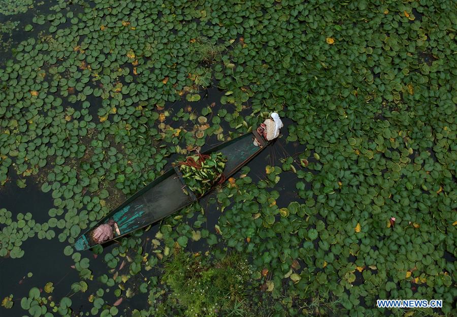 KASHMIR-SRINAGAR-DAILY LIFE