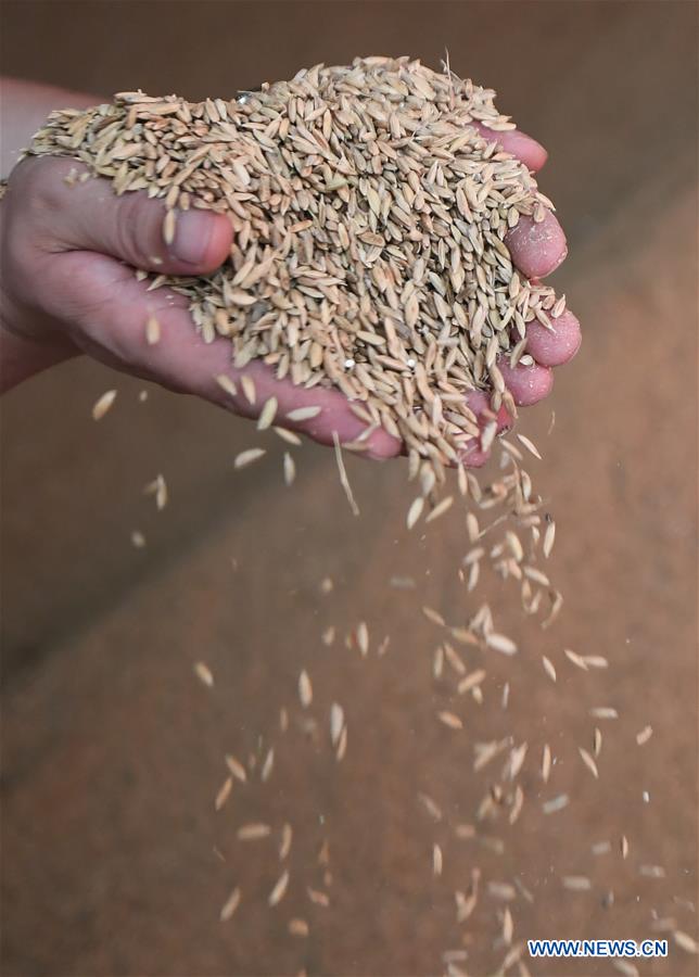 CHINA-JILIN-HUINAN-GREEN AND ORGANIC AGRICULTURE (CN)