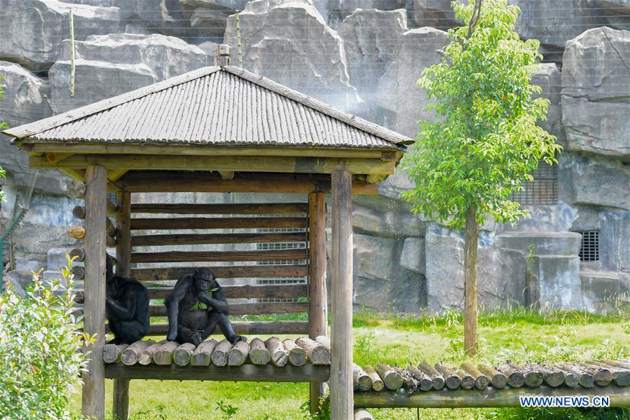 CHINA-CHANGSHA-WEATHER-ANIMALS (CN)