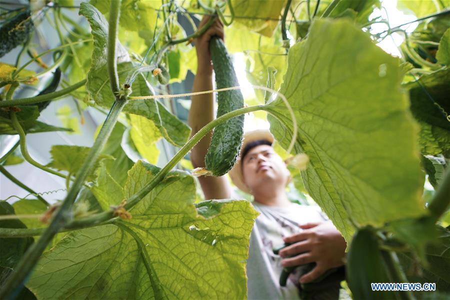 CHINA-HEBEI-AGRICULTURE-TOURISM (CN)