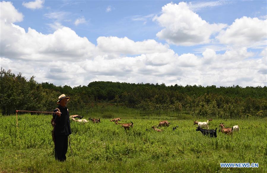 CHINA-YUNNAN-BEIDAYING-GRASSLAND (CN)