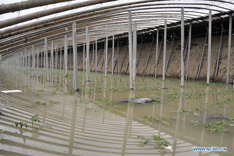 CHINA-SHANDONG-SHOUGUANG-TYPHOON-FLOOD (CN)