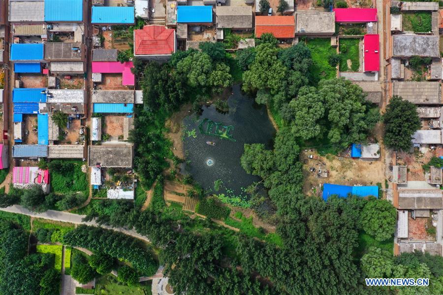 CHINA-HEBEI-XIONGAN-POLLUTED PONDS-ECOLOGICAL RESTORATION (CN)