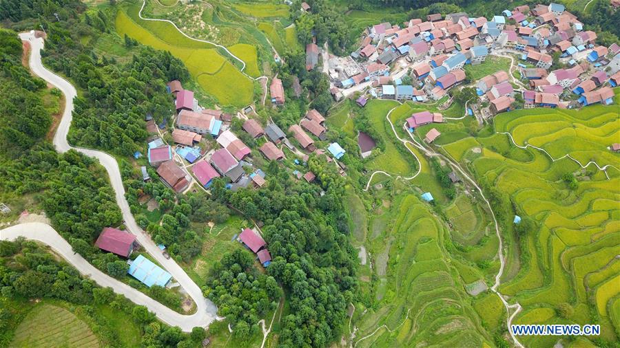 CHINA-GUIZHOU-PADDY FIELDS-TERRACED LANDS (CN)