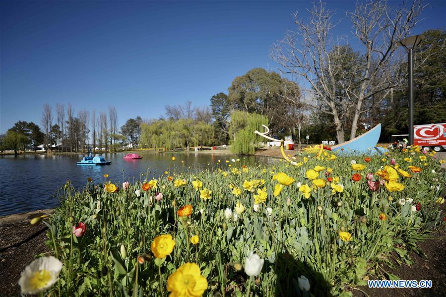 AUSTRALIA-CANBERRA-FLORIADE