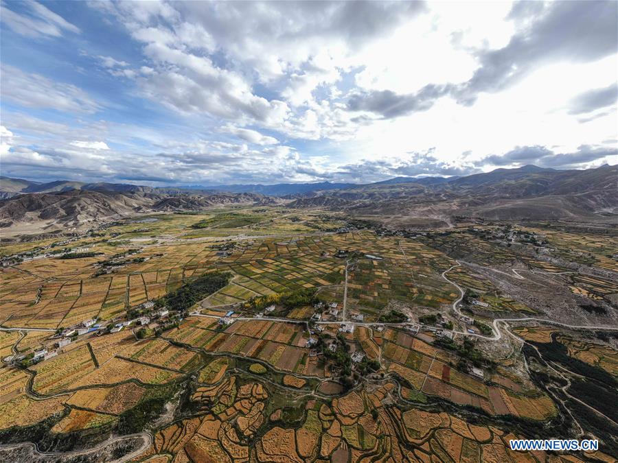 CHINA-HARVEST-AERIAL VIEW (CN)