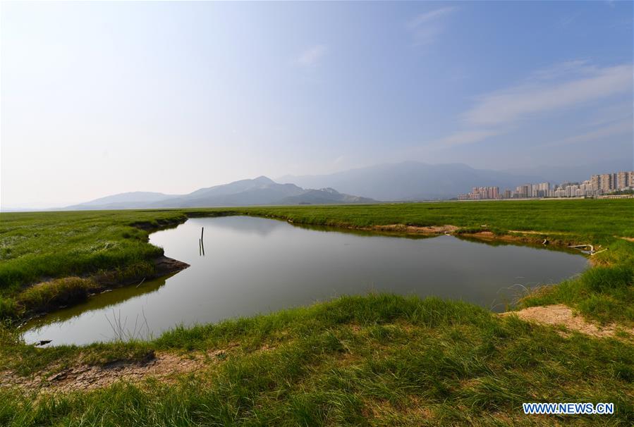 CHINA-JIANGXI-POYANG LAKE-DRY SEASON (CN)