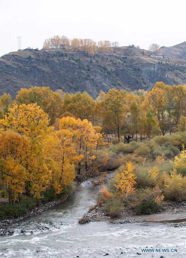 CHINA-SICHUAN-KANGDING-AUTUMN SCENERY (CN)