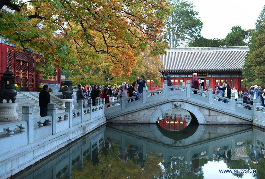 CHINA-BEIJING-XIANGSHAN PARK-AUTUMN SCENERY (CN)