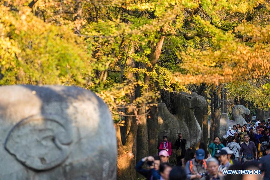 CHINA-NANJING-AUTUMN-XIAOLING MAUSOLEUM-SCENERY (CN)