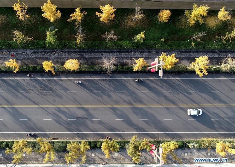 CHINA-SHAANXI-AUTUMN SCENERY (CN)