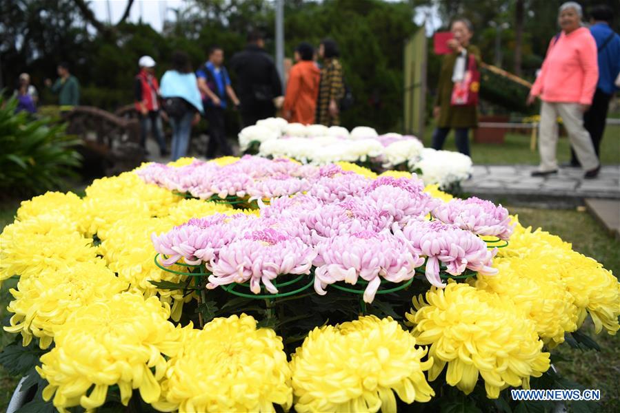 CHINA-TAIPEI-CHRYSANTHEMUM SHOW (CN)