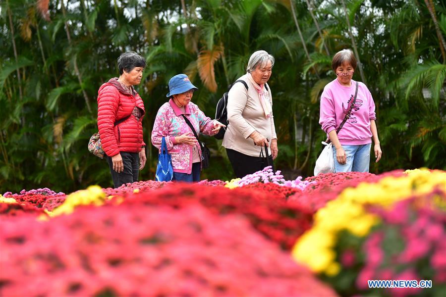 CHINA-TAIPEI-CHRYSANTHEMUM SHOW (CN)