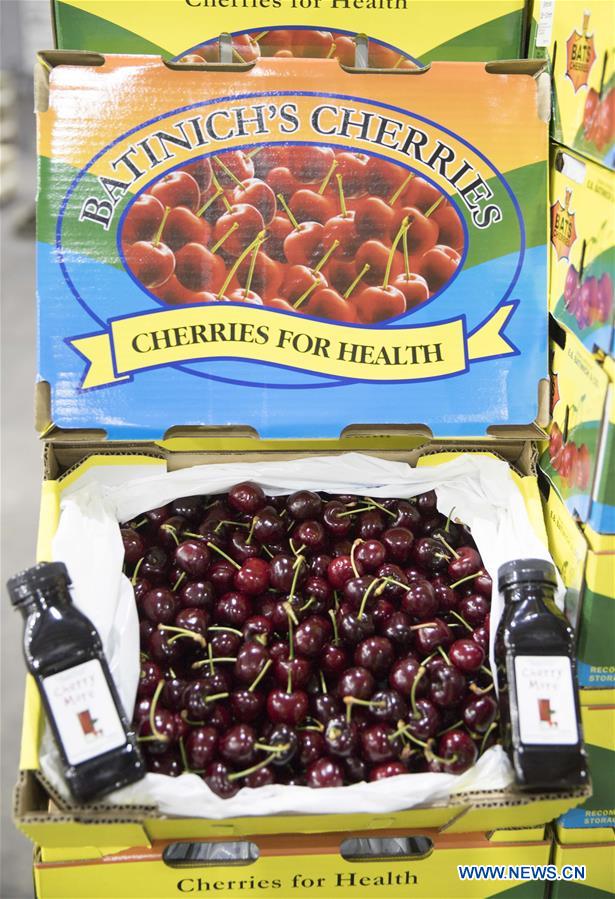 AUSTRALIA-YOUNG-CHERRY-EXPORT TRADE