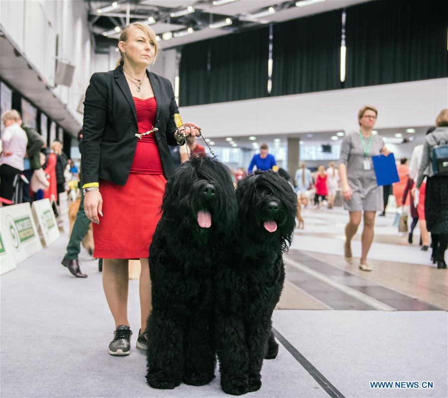 LITHUANIA-VILNIUS-DOG SHOW