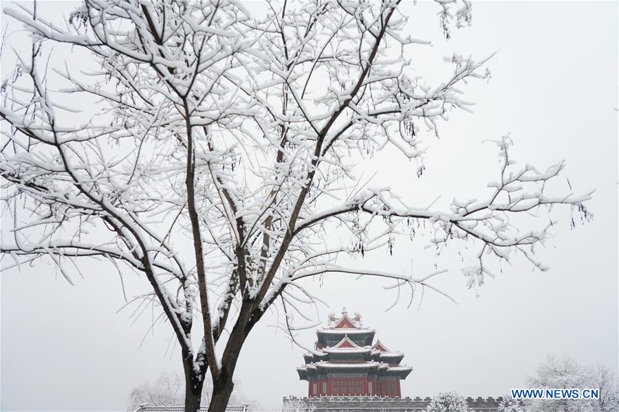 CHINA-BEIJING-SNOW SCENERY (CN)