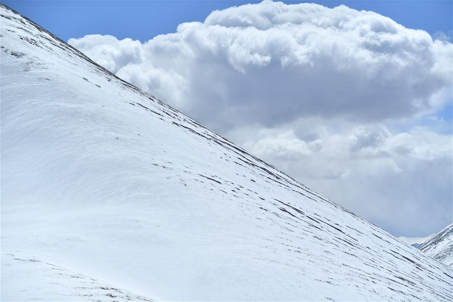 CHINA-TIBET-SNOW SCENERY (CN)