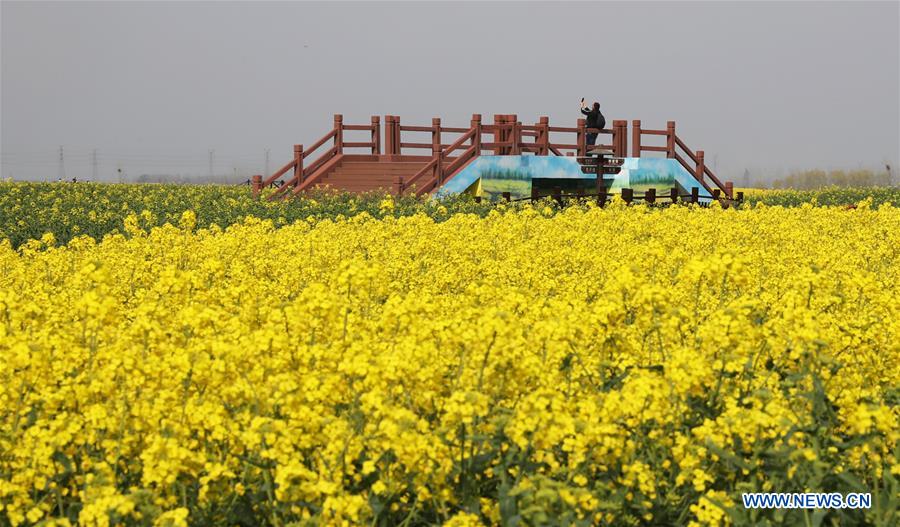 CHINA-JIANGSU-XINGHUA-COLE FLOWERS (CN)