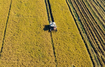 Farmers, fishermen busy with harvest across China