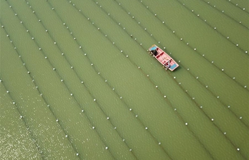 Farmers busy working across China