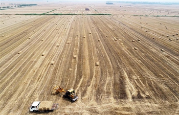 Farmers work during summer across China