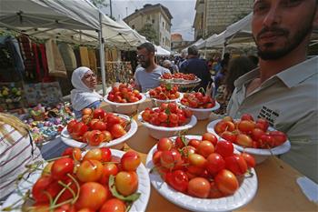 In pics: Cherry Day in Hamana, Lebanon